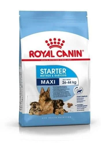 matxxn　 CANIN スタートマザー＆ベビードッグ 24缶 Royal Canin Maxi Starter Mother & Babydog (Büyük ırk Emziren