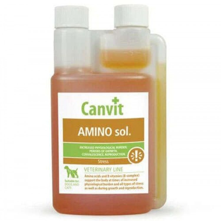 Canvit Amino Sol. Çözelti Aminoasit Solüsyonu 1000 ML